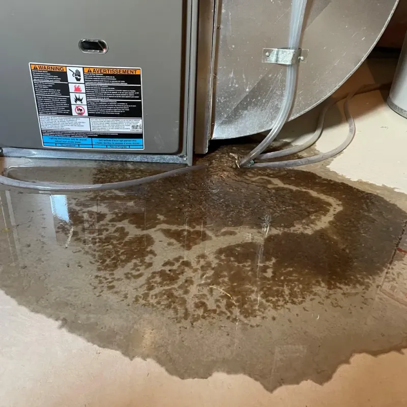 Appliance Leak Cleanup in Grove Hill, AL